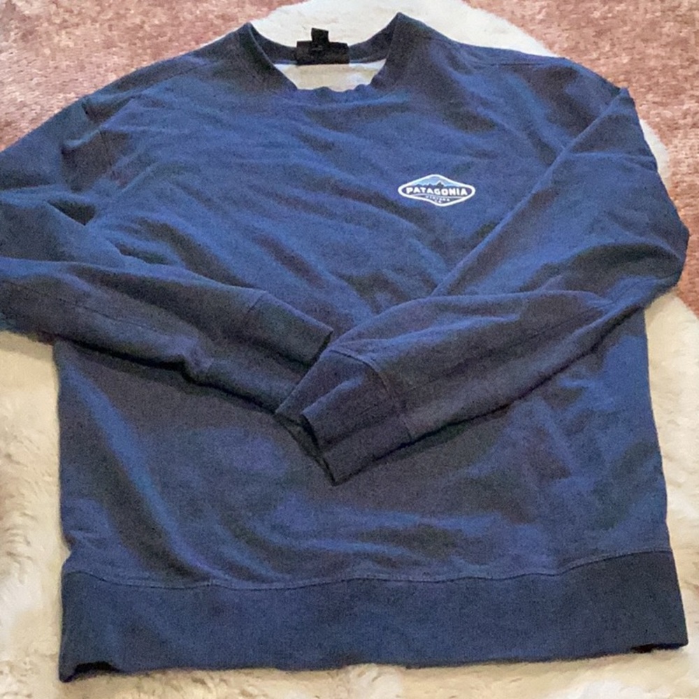 EUC Patagonia Organic Cotton sweatshirt